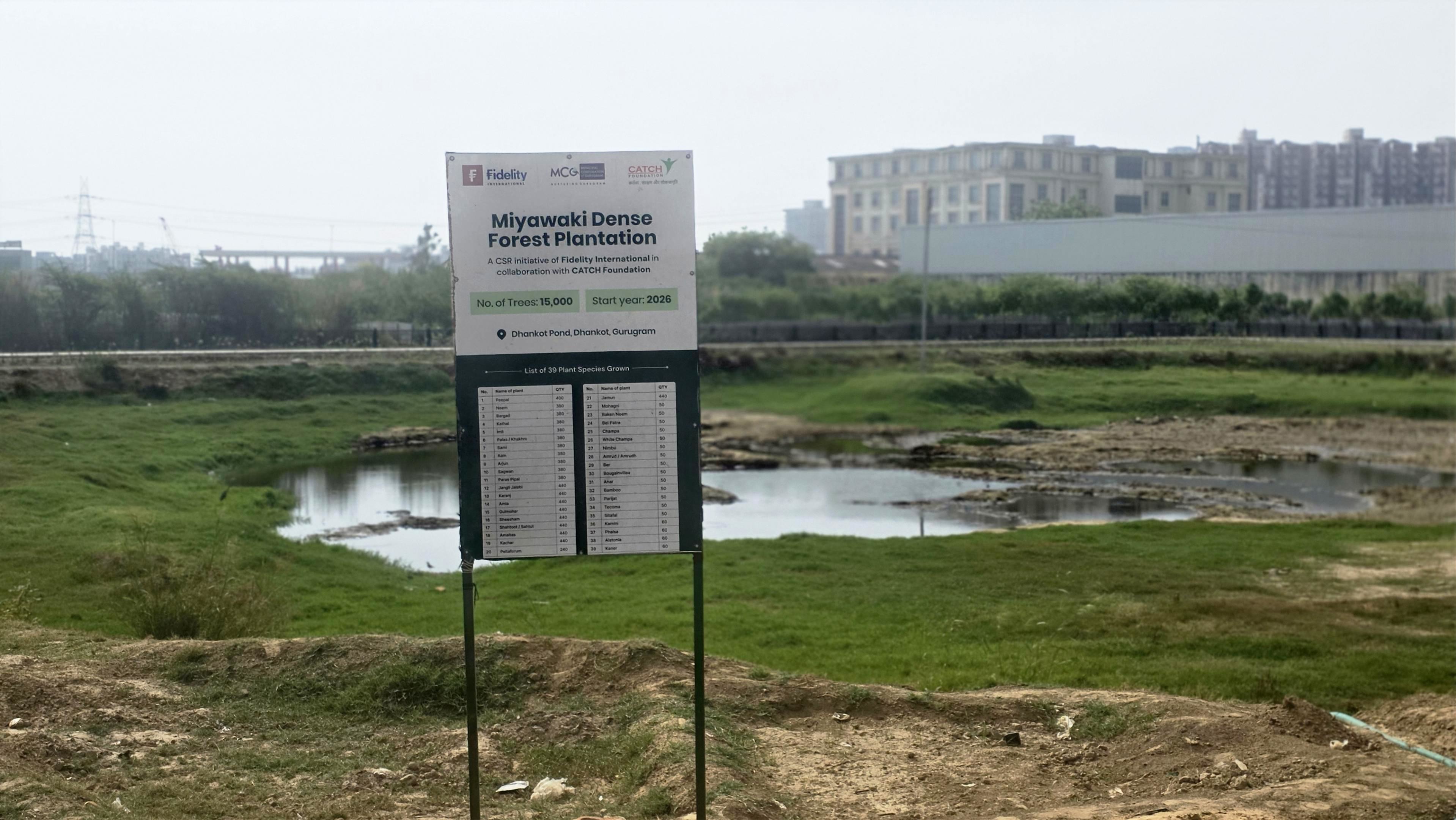 Fidelity International unveils a Miyawaki forest with 15,000 native trees to boost Gurugram&rsquo;s urban ecology